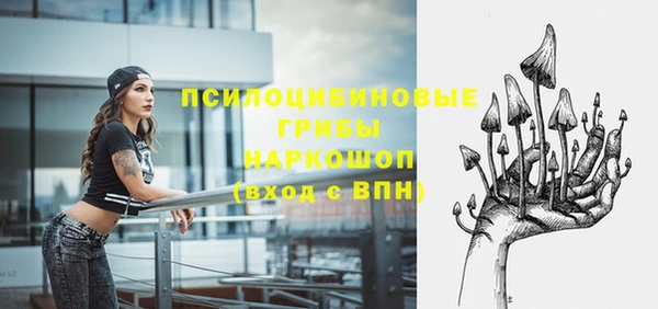 прущий лед Ельня