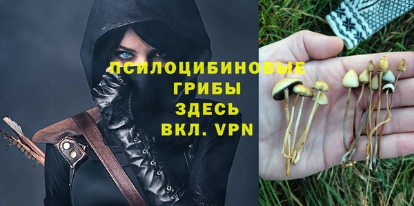 прущий лед Ельня