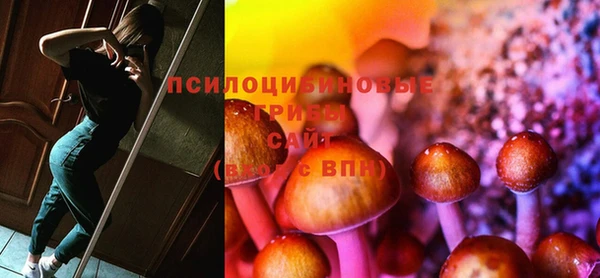 прущий лед Ельня