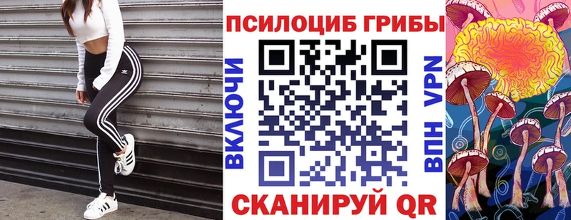 Купить где  Починок  Галлюциногенные грибы GOLDEN TEACHER 